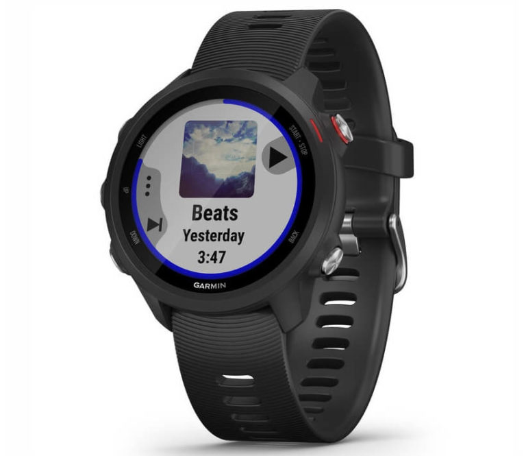 garmin forerunner v vivoactive