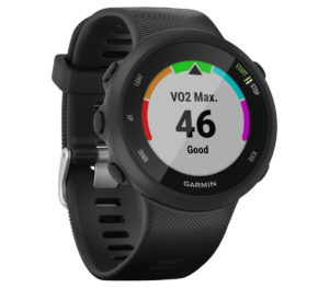 compare forerunner 45 and 245