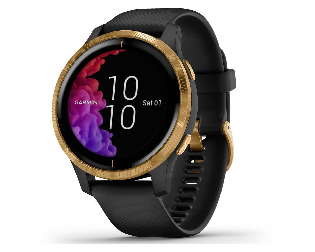 garmin venu v garmin vivoactive 4