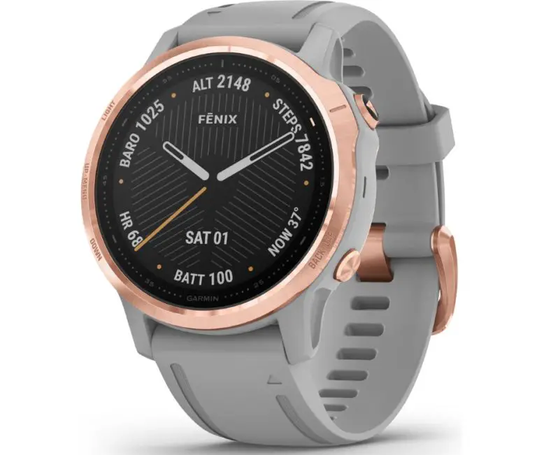 forerunner 645 vs fenix 6