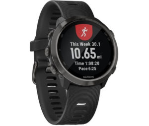 garmin fenix 5s vs garmin forerunner 645